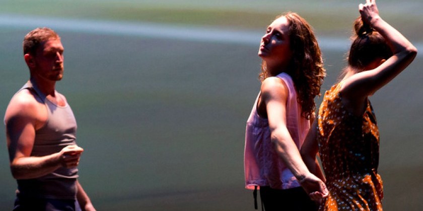 ZviDance is having a Party in support of the upcoming production MAIM