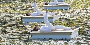 DANCE NEWS: Kaatsbaan Cultural Park's Full Programming for its 2022 Summer and Fall Festivals