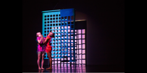 THE DANCE ENTHUSIAST ASKS: Julia Gleich’s "CounterPointe" is Art in Motion