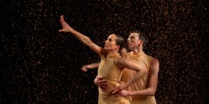 IMPRESSIONS: MorDance Presents Morgan McEwan's "Trees" at New York Live Arts 