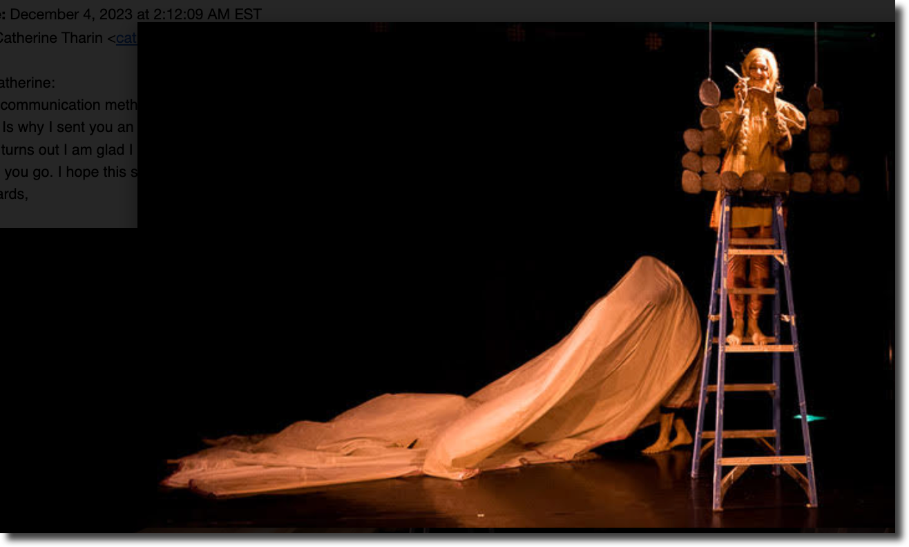 Rapunzel perched on a tall ladder with quill in hand framed by a window of rocks