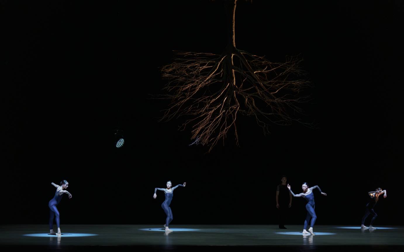 Four standing dancers dressed in blue leotards pose in spotlights against a black background.