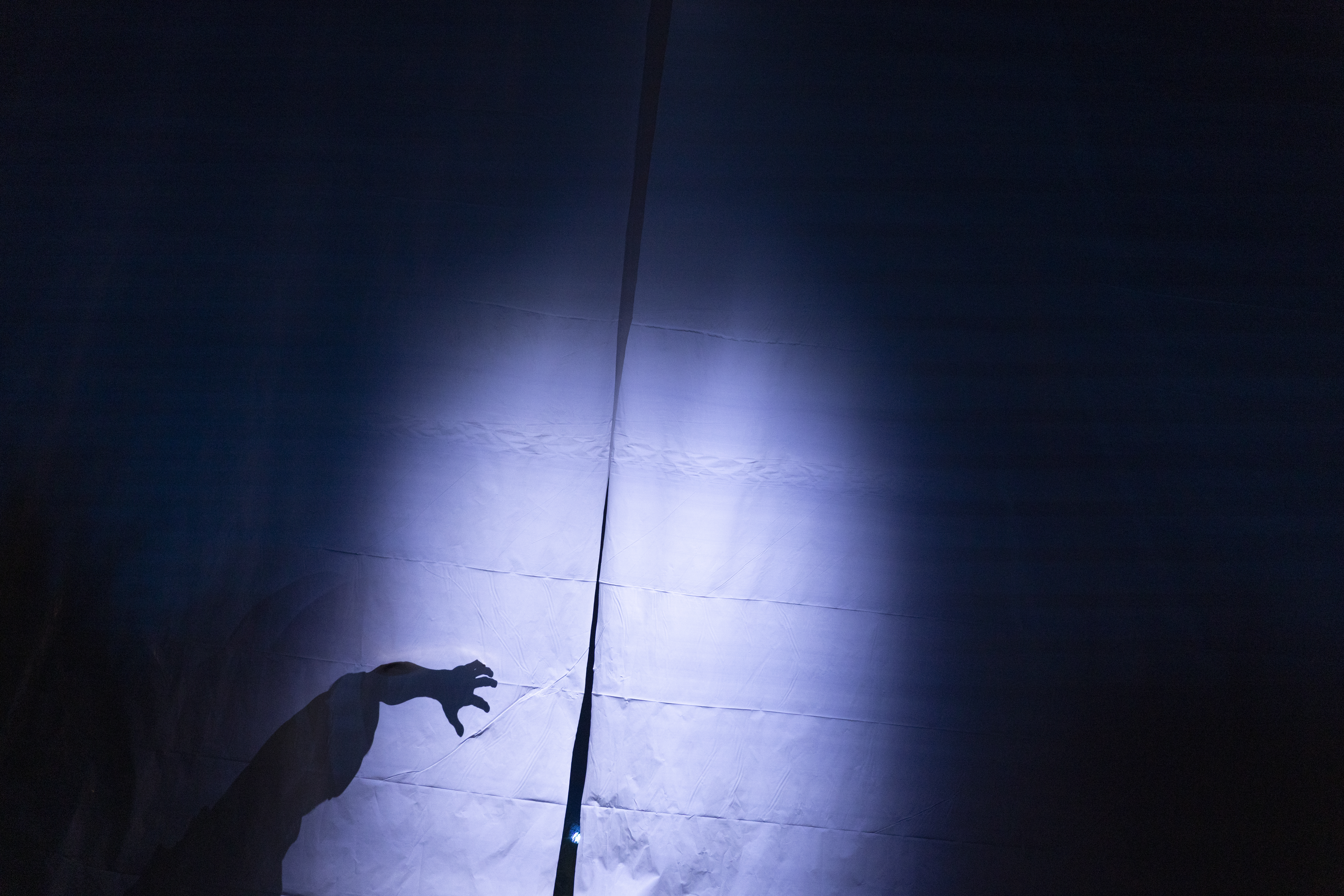 A shadow of a clawed hand is silhouetted against a blueish lozenge of light.