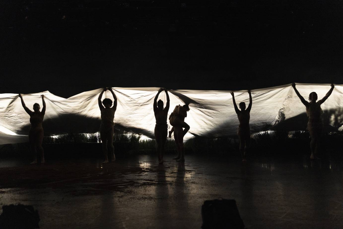 Even spaced dancers in silhouette arms stretched upward hold up a length of white fabric as a couple is seen with one dancer holding another on their back.