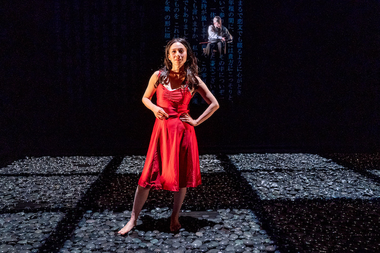 Miki Nakatani in a red negligee stands on a floor of smooth black rocks. Her hand is on one of her hips that juts out. She appears to be speaking to us directly. Behind her M. Baryshnikov as if suspended in space sits and cleans his rifle which is on his lap.