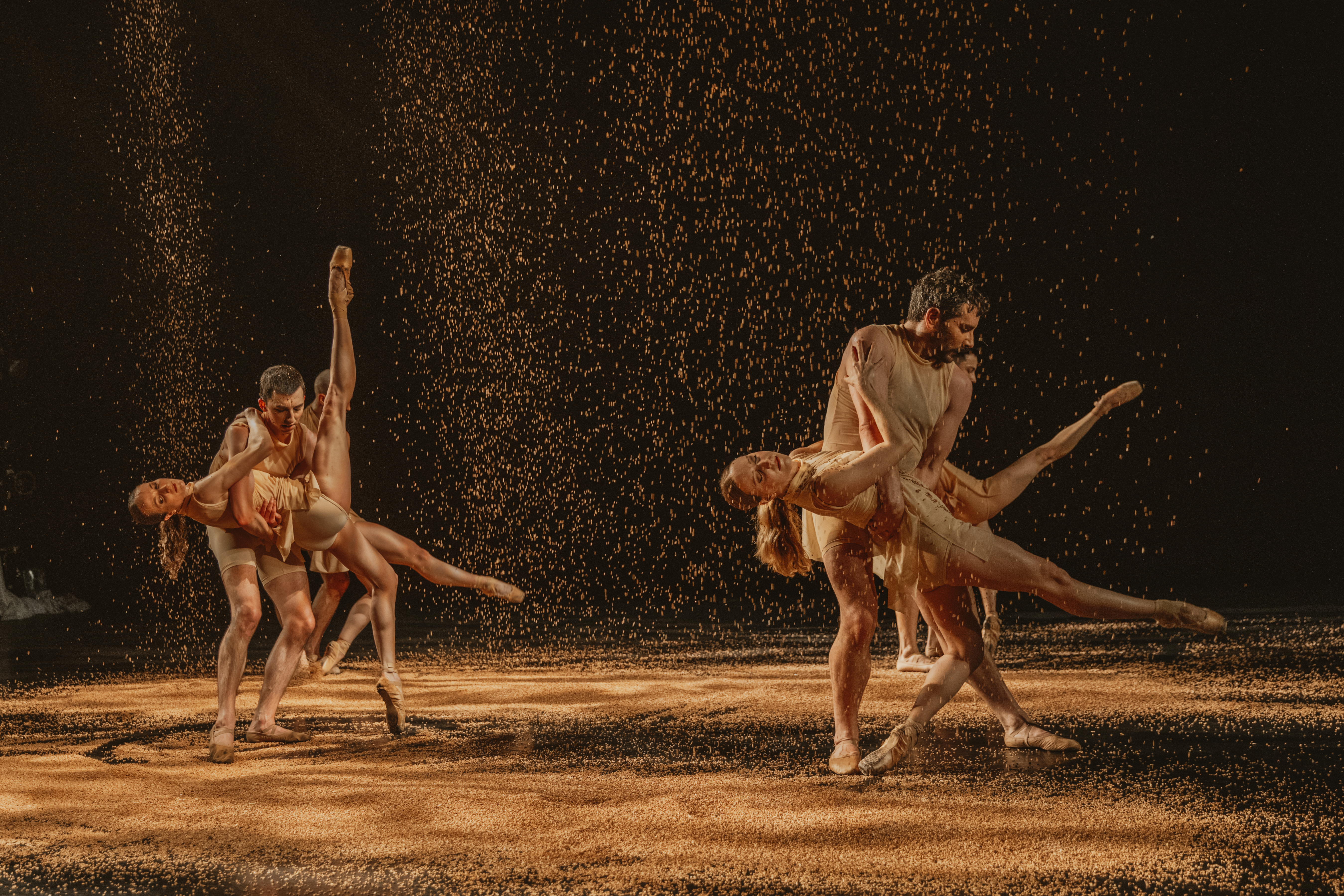 Four male/female couples (two foreground, two obscured in the background), the women in pointe shoes, bent backward are held around their waists by the men. The dancers, dancing in piles of brown, shard-like material are also rained upon by this material.