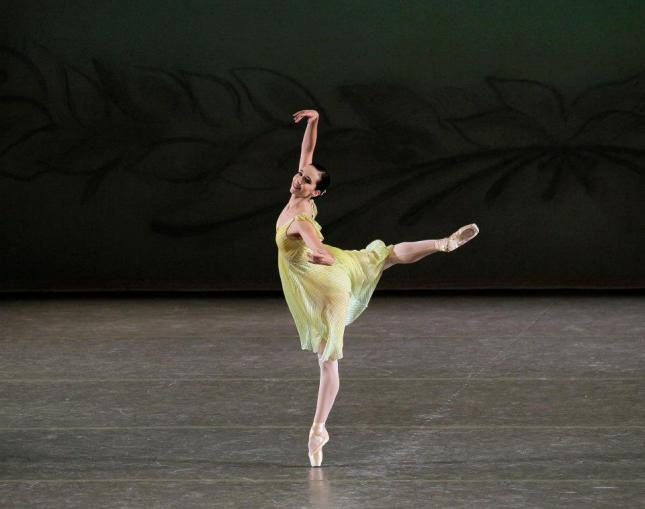 Impressions of Thirty Years and One Night | The Dance Enthusiast