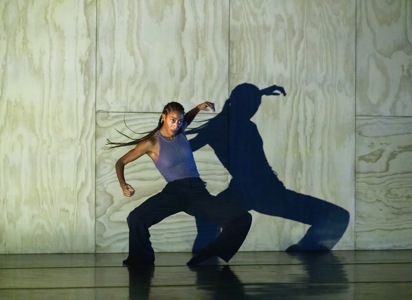 Rena Butler spreads her legs in a deep plie, her arms lifted at the elbows. Her shadow looms behind her on the plywood set.