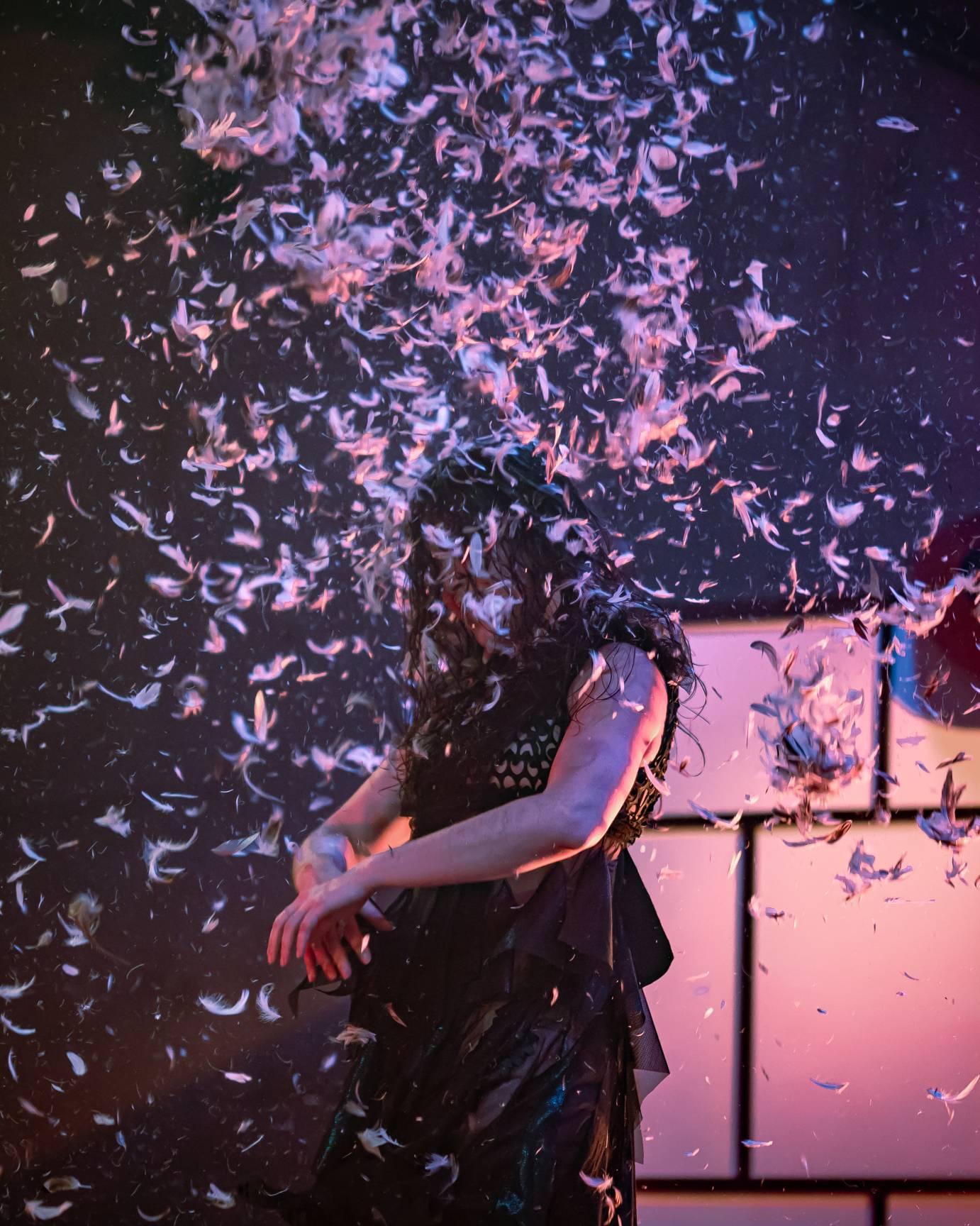 the woman in black is surrounded by a cloud of feathers